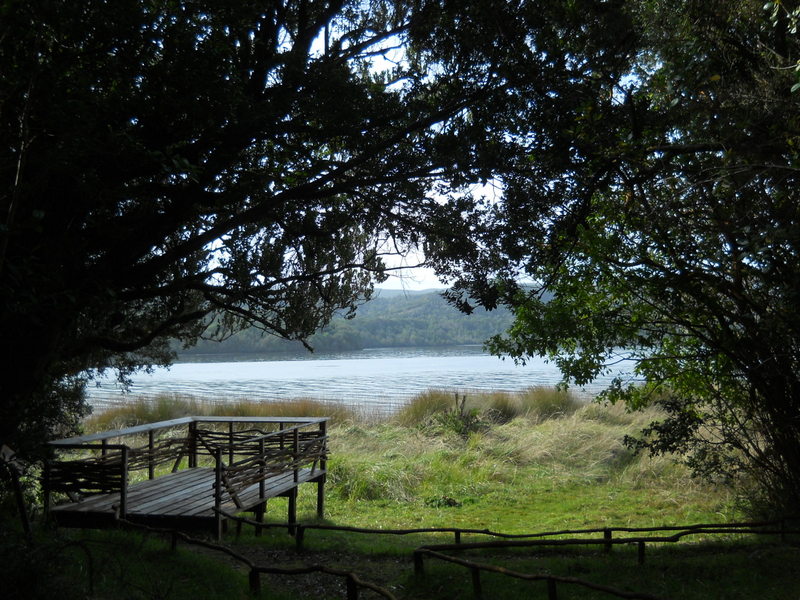 Foto: Parque Nacional Chiloe - Cucao (Los Lagos), Chile