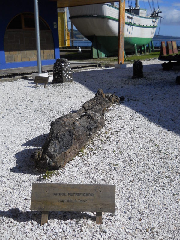 Foto: Ancud - Ancud (Los Lagos), Chile