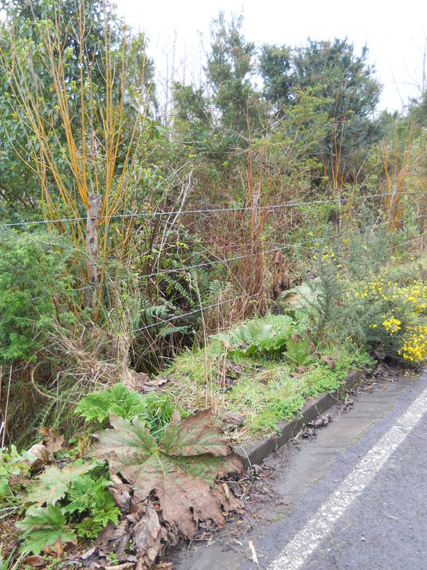 Foto: Quinchao - Quinchao (Los Lagos), Chile