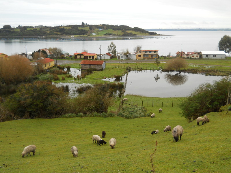 Foto: Quinchao - Quinchao (Los Lagos), Chile