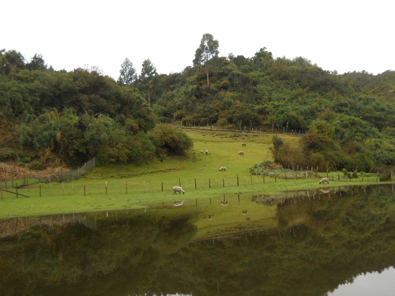Foto: Quinchao - Quinchao (Los Lagos), Chile