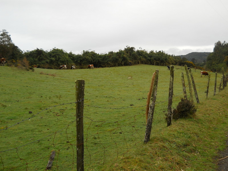 Foto: Quinchao - Quinchao (Los Lagos), Chile