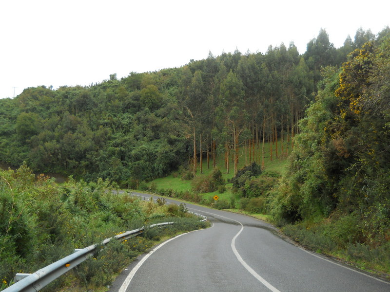 Foto: Quinchao - Quinchao (Los Lagos), Chile