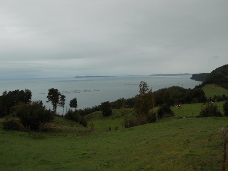Foto: Quinchao - Quinchao (Los Lagos), Chile