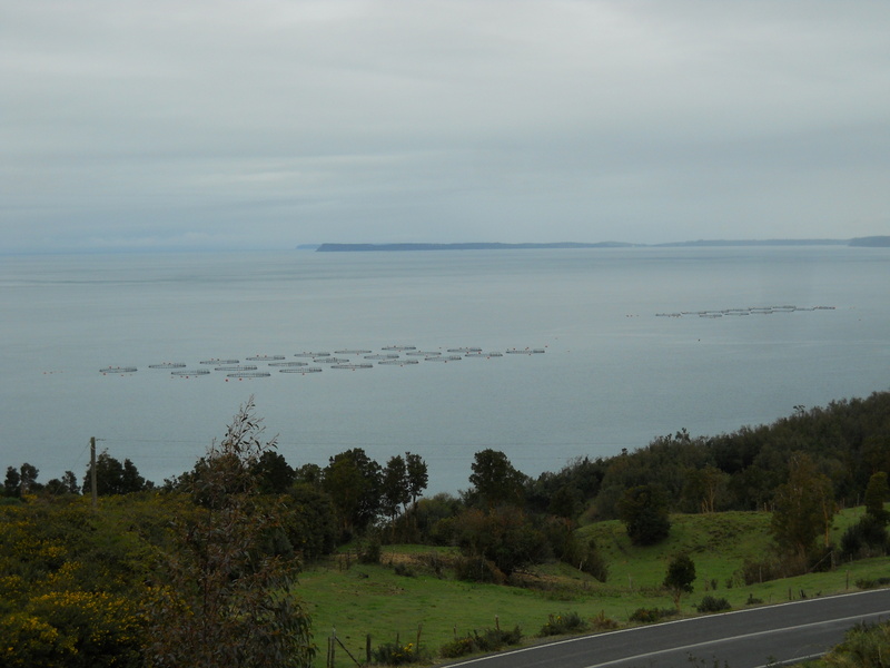 Foto: Quinchao - Quinchao (Los Lagos), Chile