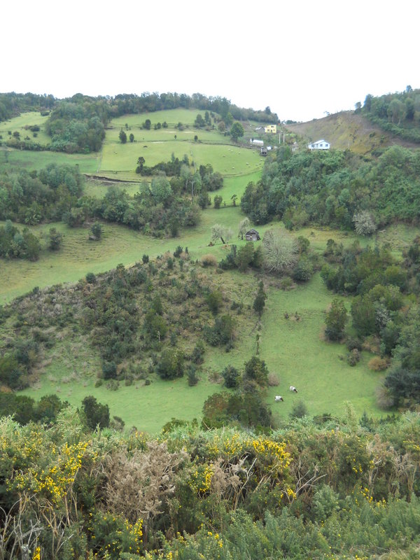 Foto: Quinchao - Quinchao (Los Lagos), Chile