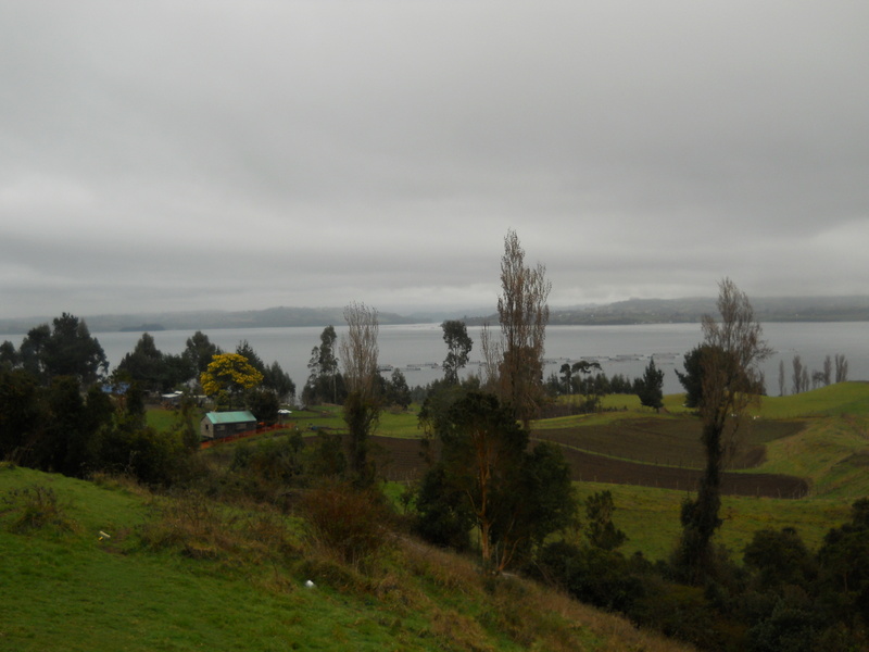 Foto: Puqueldon - Puqueldon (Los Lagos), Chile