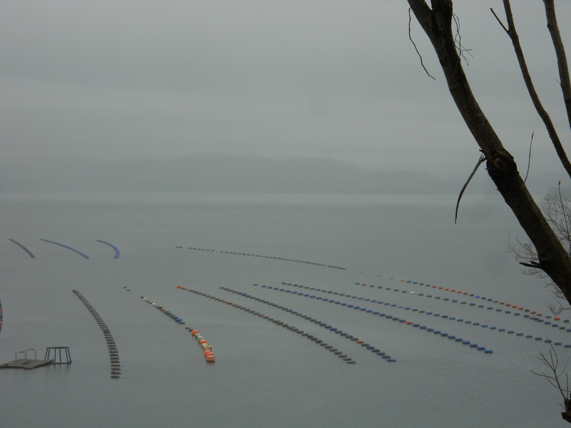 Foto: Puqueldon - Puqueldon (Los Lagos), Chile