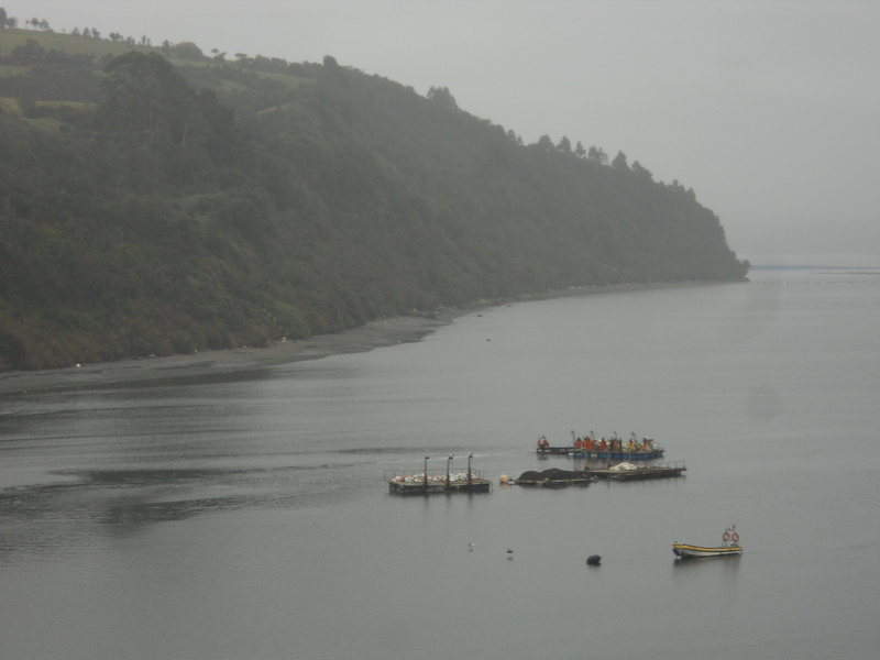 Foto: Puqueldon - Puqueldon (Los Lagos), Chile