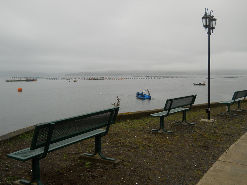 Foto: Puqueldon - Puqueldon (Los Lagos), Chile