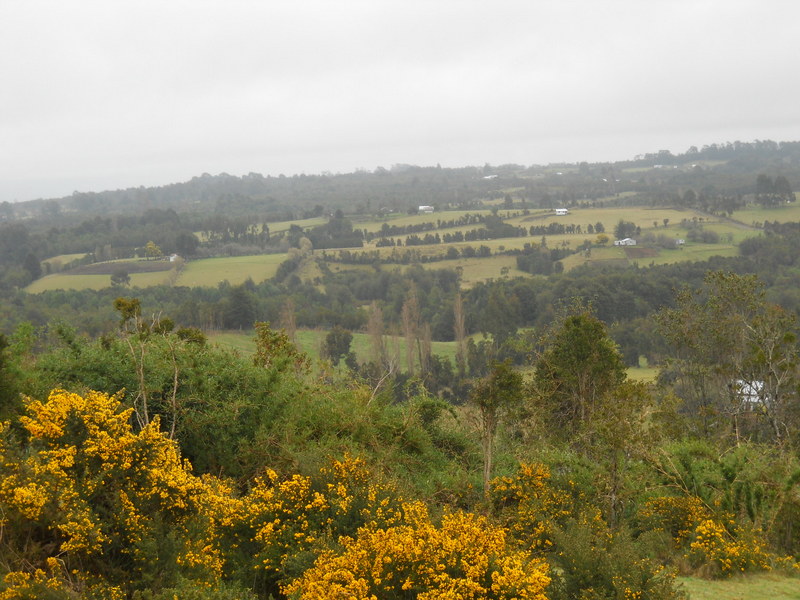 Foto: Puqueldon - Puqueldon (Los Lagos), Chile