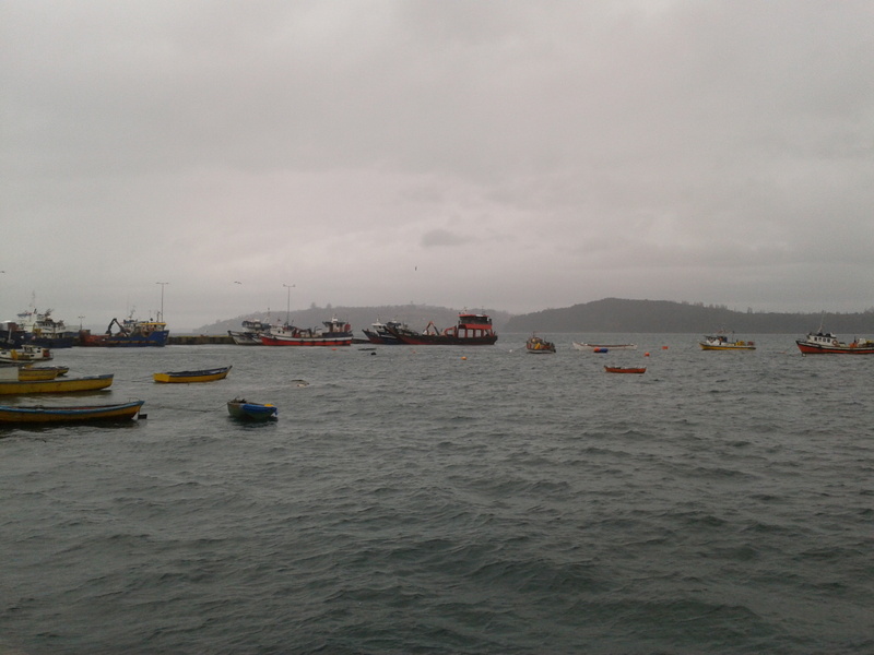 Foto: Chonchi - Chonchi (Los Lagos), Chile