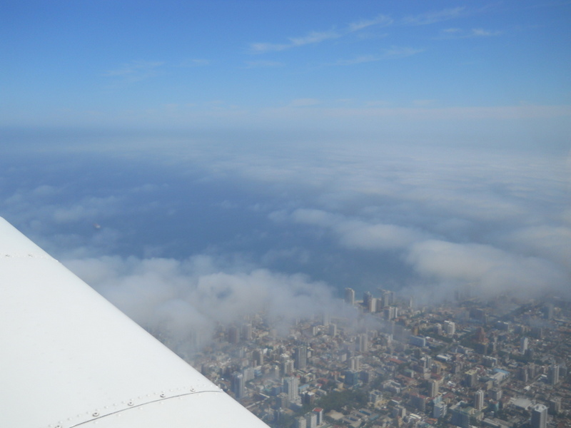 Foto: Viña - Viña (Valparaíso), Chile