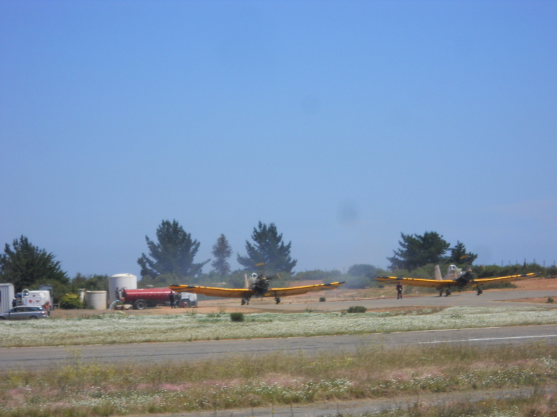 Foto: Viña - Viña (Valparaíso), Chile