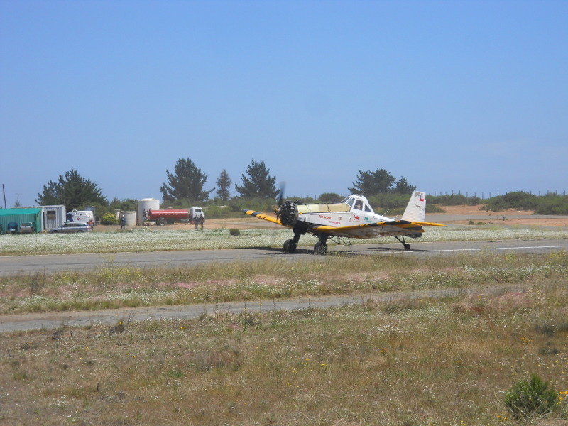Foto: Viña - Viña (Valparaíso), Chile