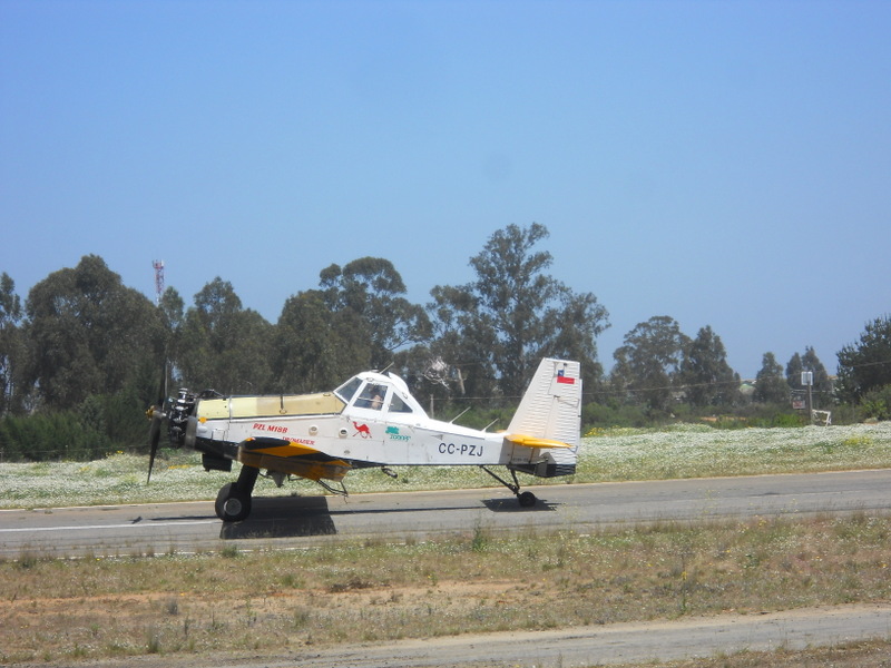 Foto: Viña - Viña (Valparaíso), Chile