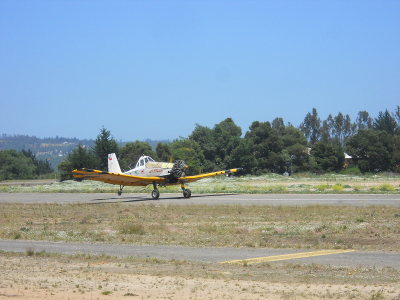 Foto: Viña - Viña (Valparaíso), Chile