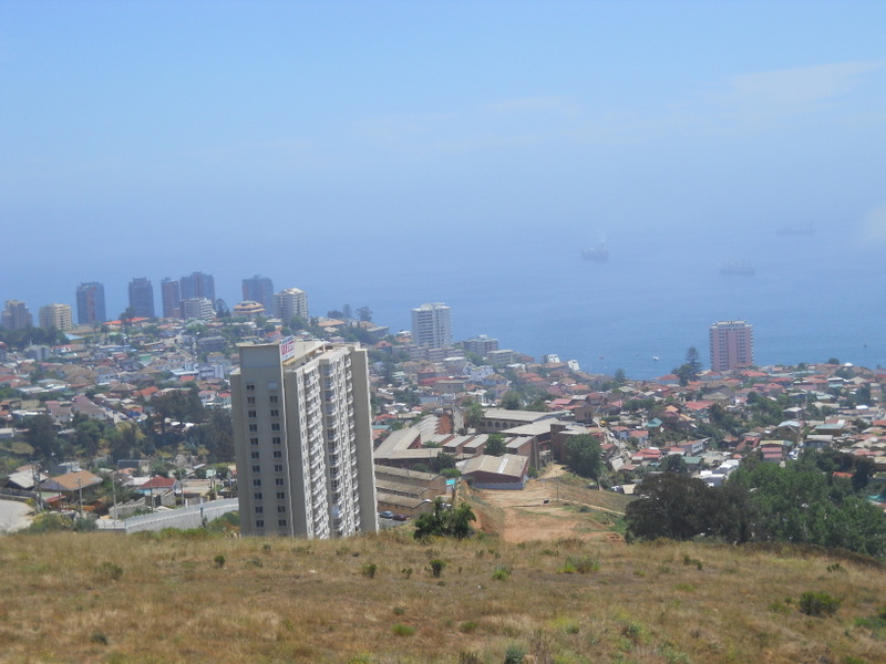 Foto: Viña - Viña (Valparaíso), Chile