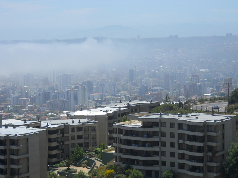 Foto: Viña - Viña (Valparaíso), Chile