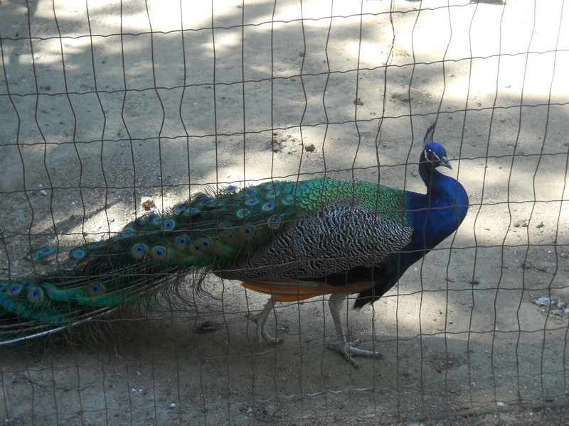 Foto: Quilpue - Quilpue (Valparaíso), Chile