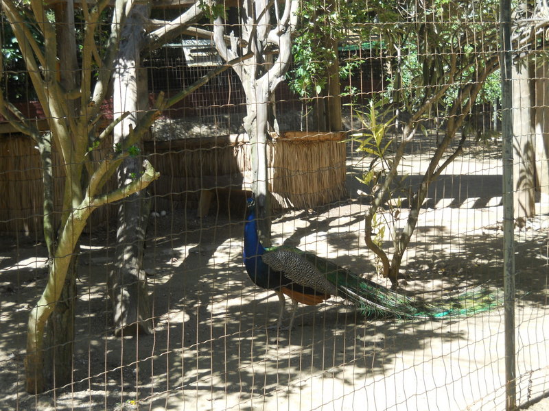 Foto: Quilpue - Quilpue (Valparaíso), Chile