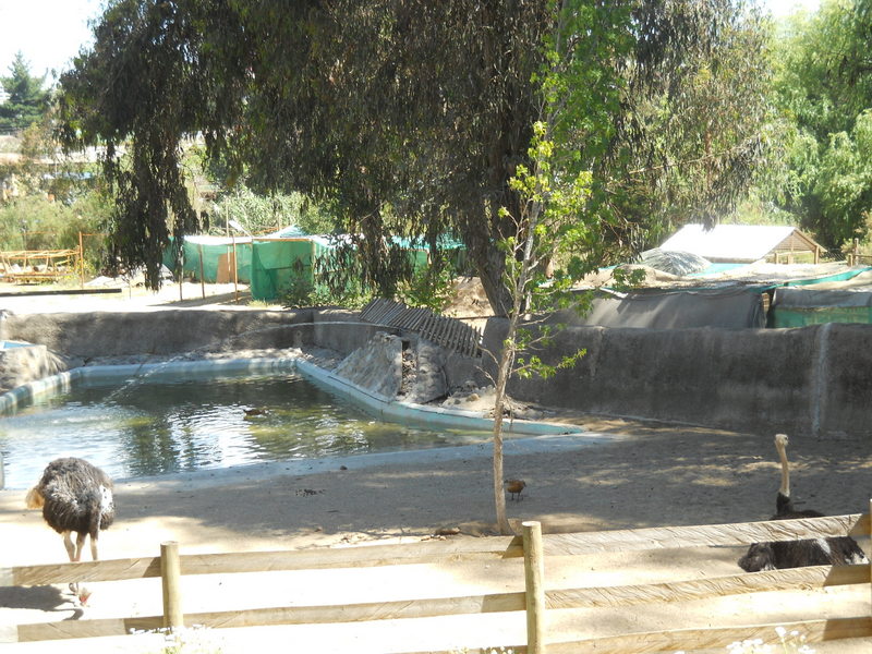 Foto: Quilpue - Quilpue (Valparaíso), Chile
