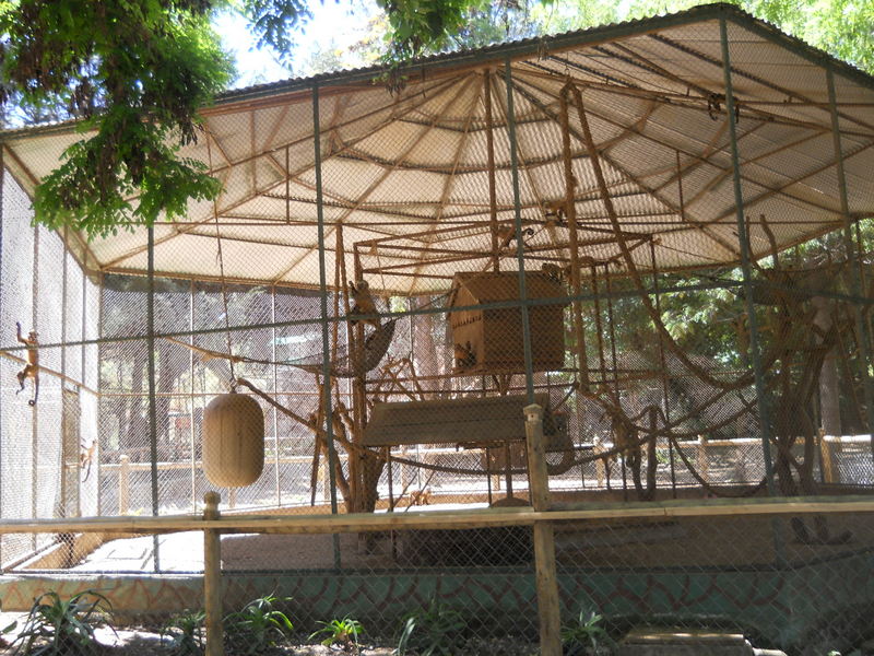 Foto: Quilpue - Quilpue (Valparaíso), Chile