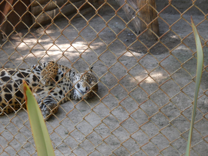 Foto: Quilpue - Quilpue (Valparaíso), Chile