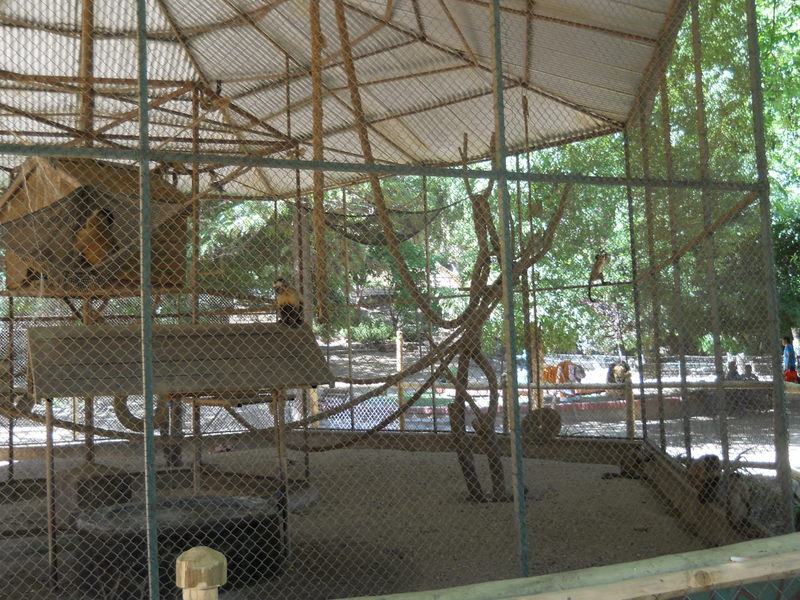 Foto: Quilpue - Quilpue (Valparaíso), Chile