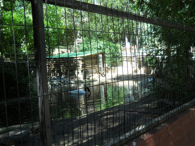 Foto: Quilpue - Quilpue (Valparaíso), Chile