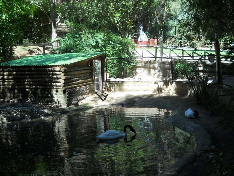 Foto: Quilpue - Quilpue (Valparaíso), Chile