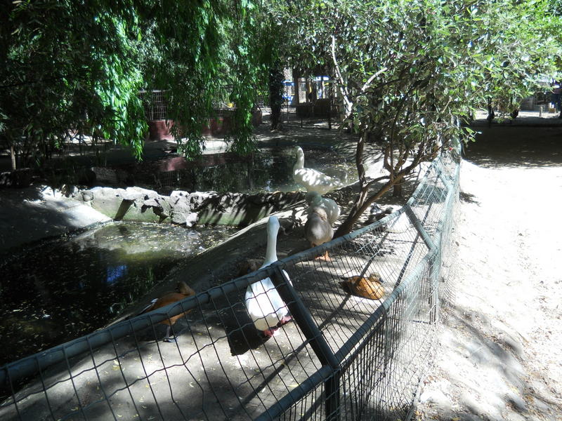 Foto: Quilpue - Quilpue (Valparaíso), Chile