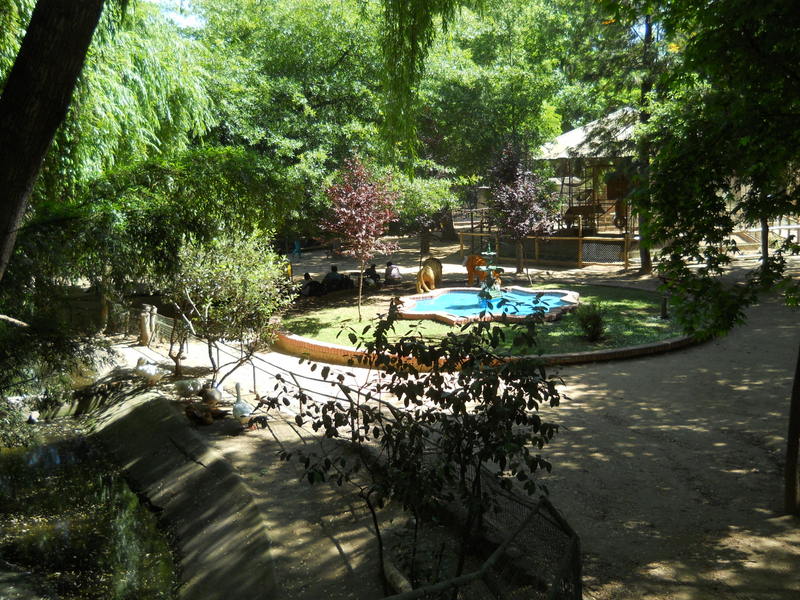 Foto: Quilpue - Quilpue (Valparaíso), Chile