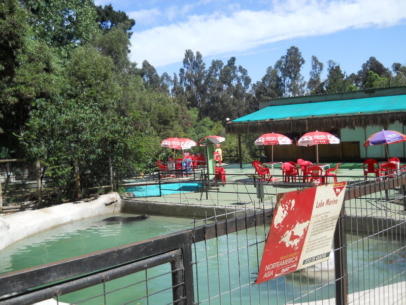 Foto: Quilpue - Quilpue (Valparaíso), Chile