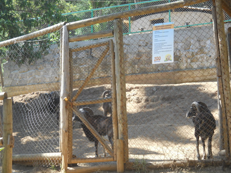 Foto: Quilpue - Quilpue (Valparaíso), Chile