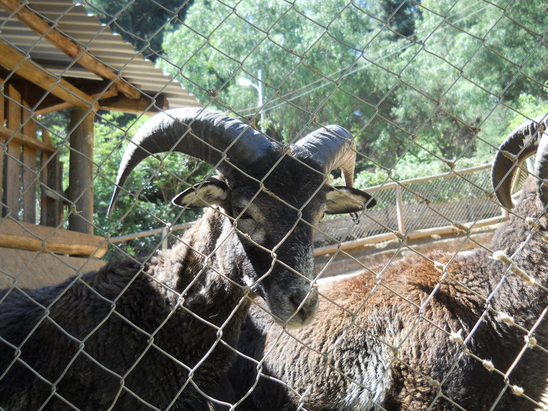 Foto: Quilpue - Quilpue (Valparaíso), Chile