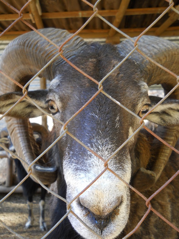 Foto: Quilpue - Quilpue (Valparaíso), Chile