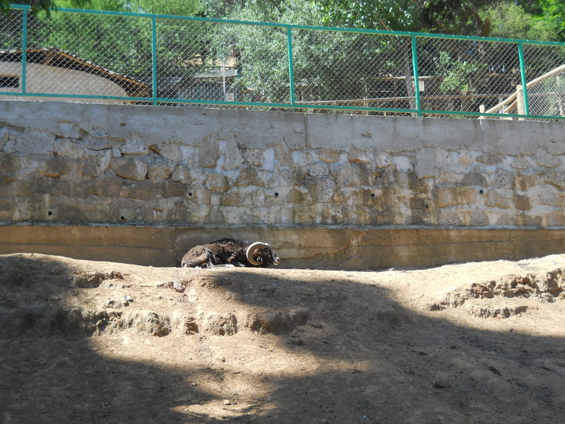 Foto: Quilpue - Quilpue (Valparaíso), Chile