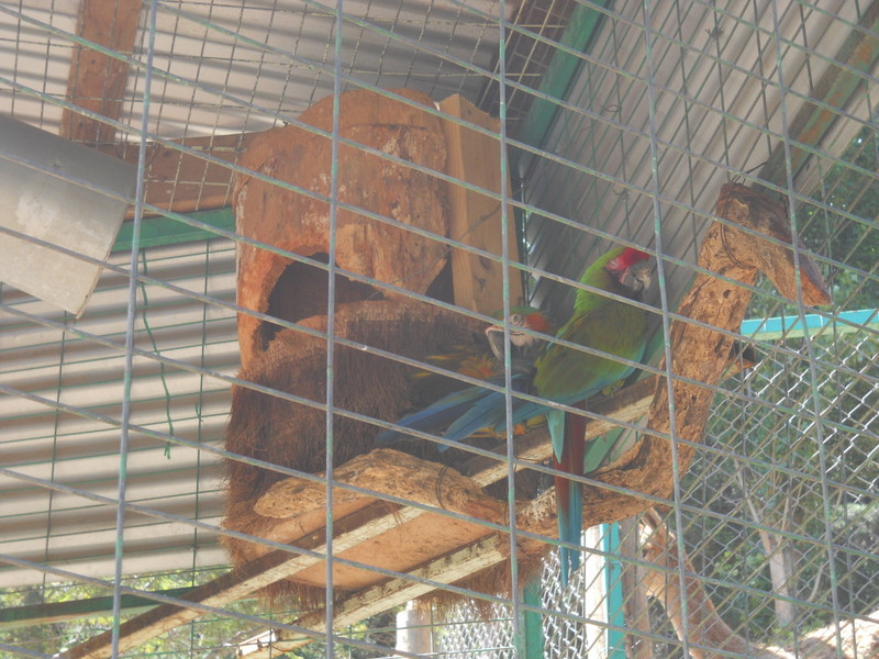 Foto: Quilpue - Quilpue (Valparaíso), Chile