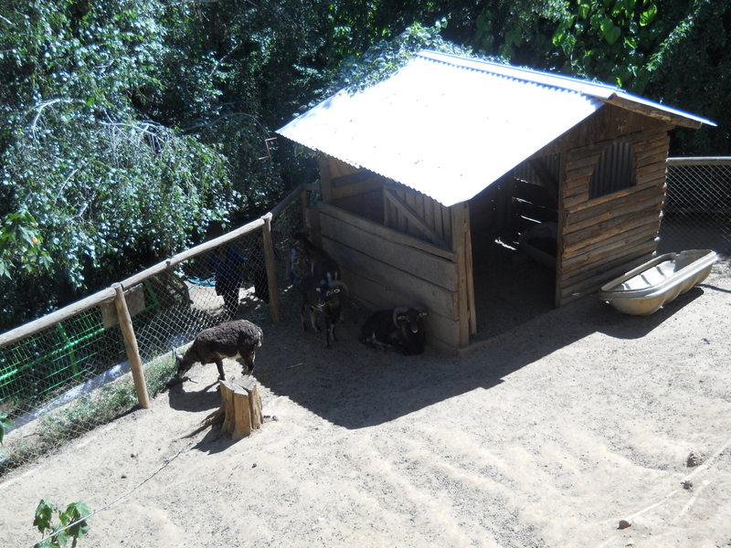 Foto: Quilpue - Quilpue (Valparaíso), Chile