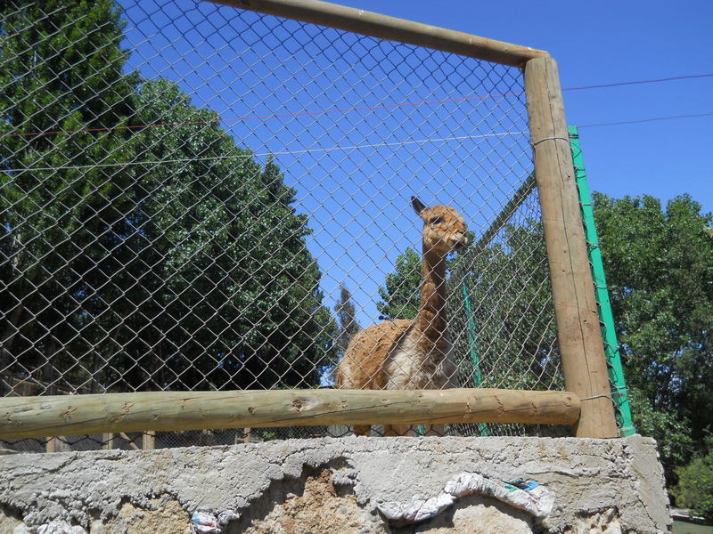 Foto: Quilpue - Quilpue (Los Lagos), Chile