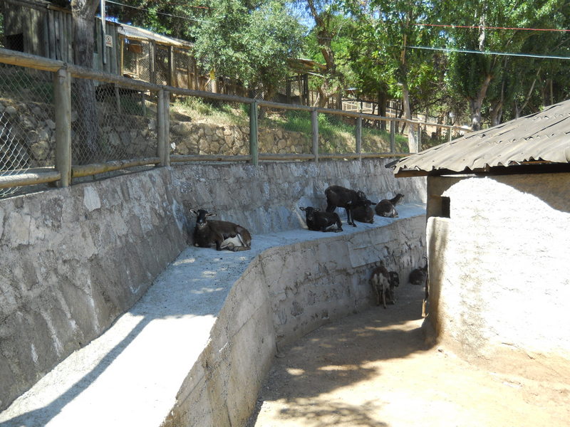 Foto: Quilpue - Quilpue (Valparaíso), Chile