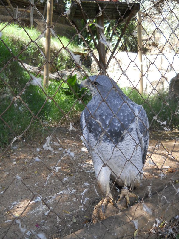 Foto: Quilpue - Quilpue (Valparaíso), Chile