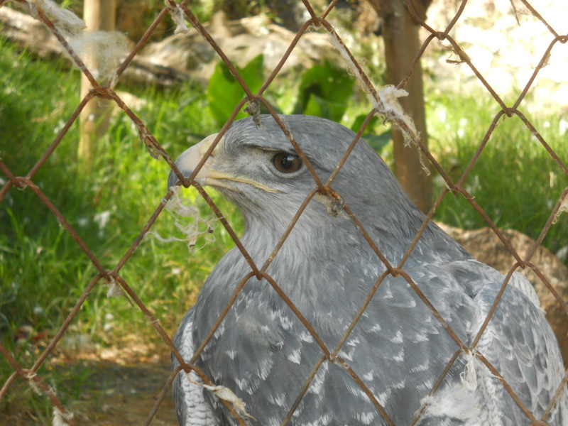 Foto: Quilpue - Quilpue (Valparaíso), Chile