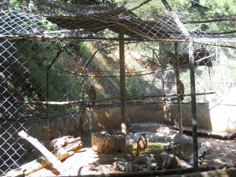 Foto: Quilpue - Quilpue (Valparaíso), Chile