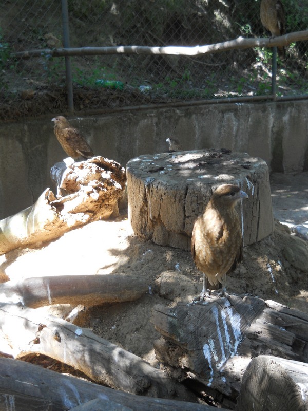 Foto: Quilpue - Quilpue (Valparaíso), Chile