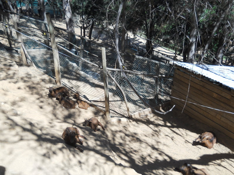 Foto: Quilpue - Quilpue (Valparaíso), Chile