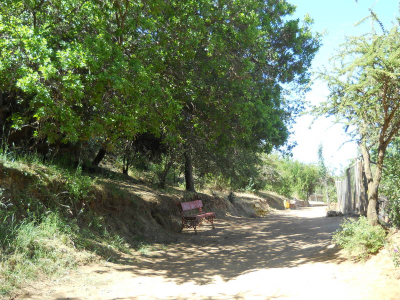 Foto: Quilpue - Quilpue (Valparaíso), Chile