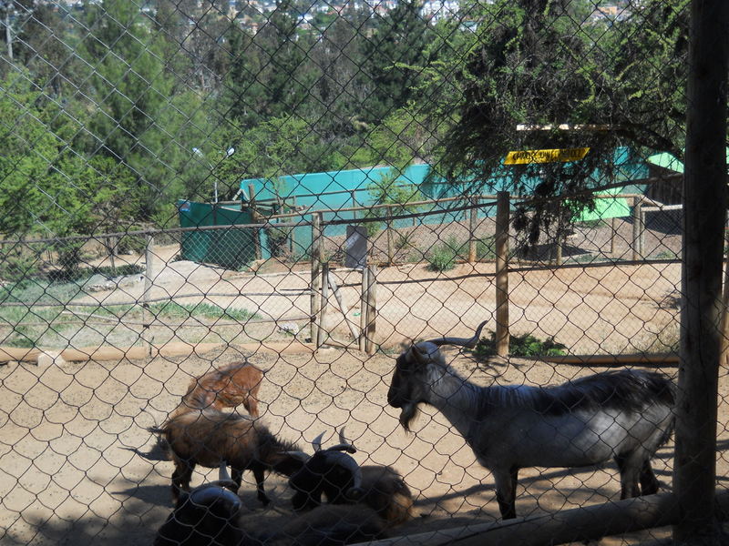 Foto: Quilpue - Quilpue (Valparaíso), Chile