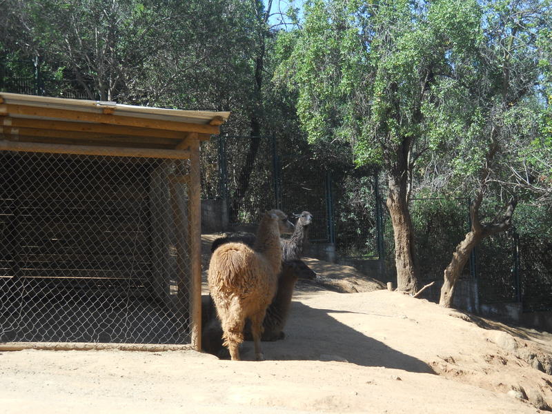 Foto: Quilpue - Quilpue (Valparaíso), Chile